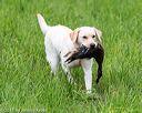 20170603-shrl-0246