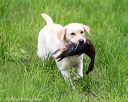 20170603-shrl-0247