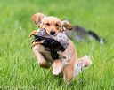 20170603-shrl-0321