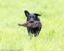 20170603-shrl-0359