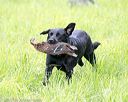 20170603-shrl-0363