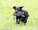 20170603-shrl-0366