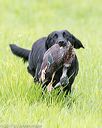 20170603-shrl-0381