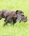 20170603-shrl-0402