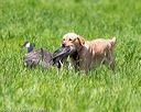 20170603-shrl-0458