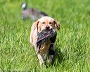20170603-shrl-0462