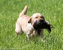 20170603-shrl-0473