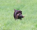 20170603-shrl-0488