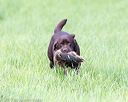 20170603-shrl-0490
