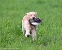 20170603-shrl-0536