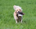 20170603-shrl-0544