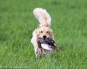 20170603-shrl-0546