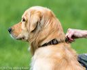 20170603-shrl-0552