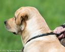 20170603-shrl-0577