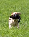 20170603-shrl-0579
