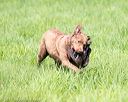 20170603-shrl-0602