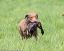 20170603-shrl-0608