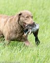 20170603-shrl-0632