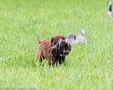 20170603-shrl-0642