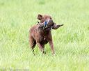 20170603-shrl-0651