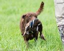20170603-shrl-0657