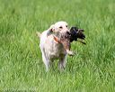 20170603-shrl-0686