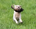 20170603-shrl-0696