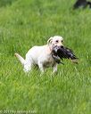 20170603-shrl-0699
