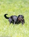 20170603-shrl-0737