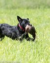 20170603-shrl-0742