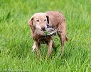 20170603-shrl-0768