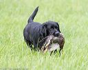 20170603-shrl-0788