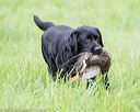 20170603-shrl-0789