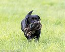 20170603-shrl-0799