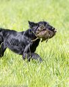 20170603-shrl-0847
