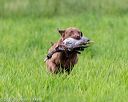 20170603-shrl-0865