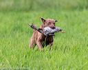 20170603-shrl-0866