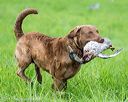 20170603-shrl-0874