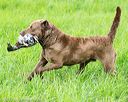 20170603-shrl-0887