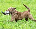20170603-shrl-0888
