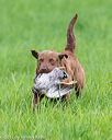 20170603-shrl-0891
