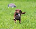 20170603-shrl-0901
