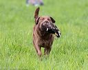 20170603-shrl-0904