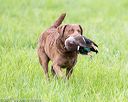 20170603-shrl-0906