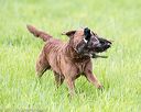 20170603-shrl-0908