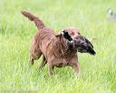 20170603-shrl-0909