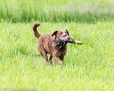 20170603-shrl-0919