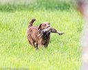 20170603-shrl-0920