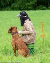 20170603-shrl-0939