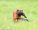 20170603-shrl-0941